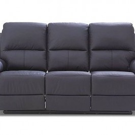 194  Twins Sofa
